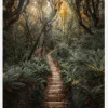 Narrow Path Canvastavla (30x40 cm)