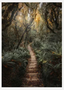Narrow Path Canvastavla (30x40 cm)