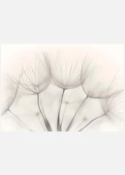 No Title Canvastavla (30x40 cm)