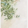 Olive Tree Leaves Canvastavla (30x40 cm)