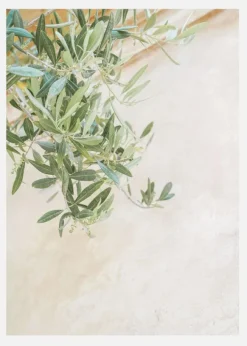 Olive Tree Leaves Canvastavla (30x40 cm)