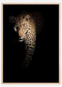 Out of the darkness Poster (21x29.7 cm (A4))