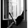 Out Thw Window Canvastavla (30x40 cm)