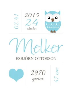 Owl Birth Poster Blue (21x29,7 cm (A4))