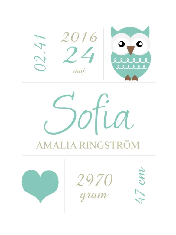 Owl Birth Poster Turquoise (21x29,7 cm (A4))
