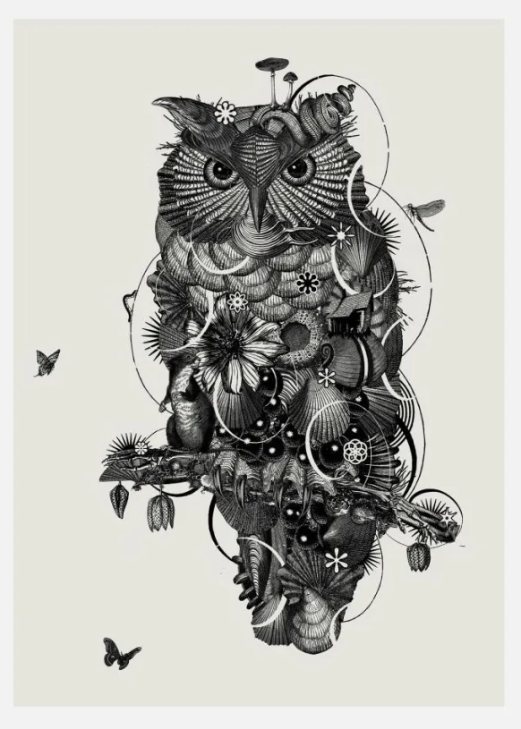 Owl Canvastavla (30x40 cm)