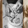 Oyster Baw Poster (21x29.7 cm (A4))