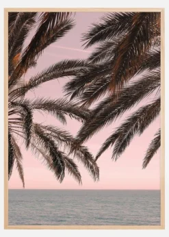 Palm Beach III Poster (21x29.7 cm (A4))