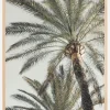 Palm 005 Poster (21x29.7 cm (A4))