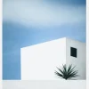 Palm Tree Canvastavla (30x40 cm)