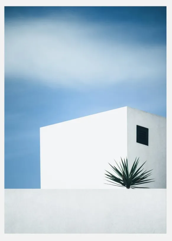 Palm Tree Canvastavla (30x40 cm)