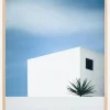Palm tree Poster (21x29.7 cm (A4))