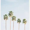 Palm Trees Canvastavla (30x40 cm)