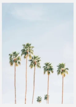 Palm Trees Canvastavla (30x40 cm)