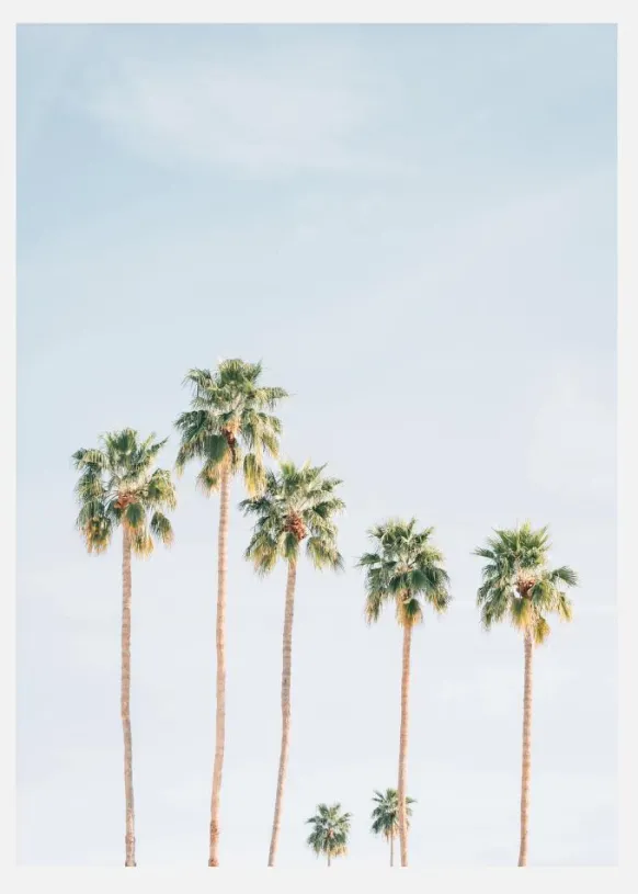 Palm Trees Canvastavla (30x40 cm)