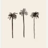 Palm Trees Ink Canvastavla (30x40 cm)