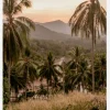 Palm Trees On Mountain Canvastavla (30x40 cm)