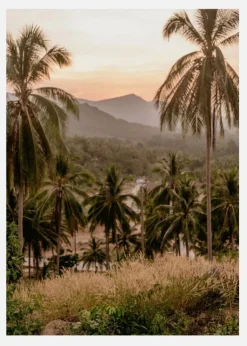Palm Trees On Mountain Canvastavla (30x40 cm)