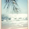 Paradise Poster (21x29.7 cm (A4))