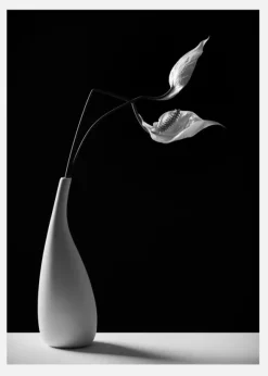 Passionately Canvastavla (30x40 cm)