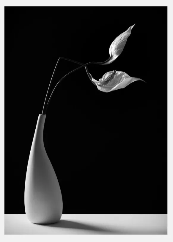 Passionately Canvastavla (30x40 cm)