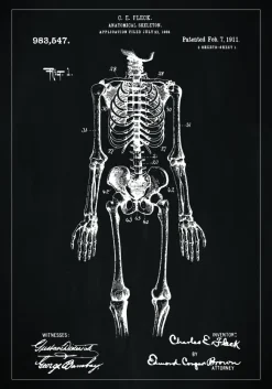 Patentritning - Anatomiskt skelett I - Svart Poster (21x29.7 cm (A4))