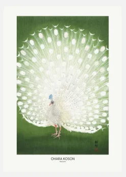 Peacock - Cropped Canvastavla (30x40 cm)