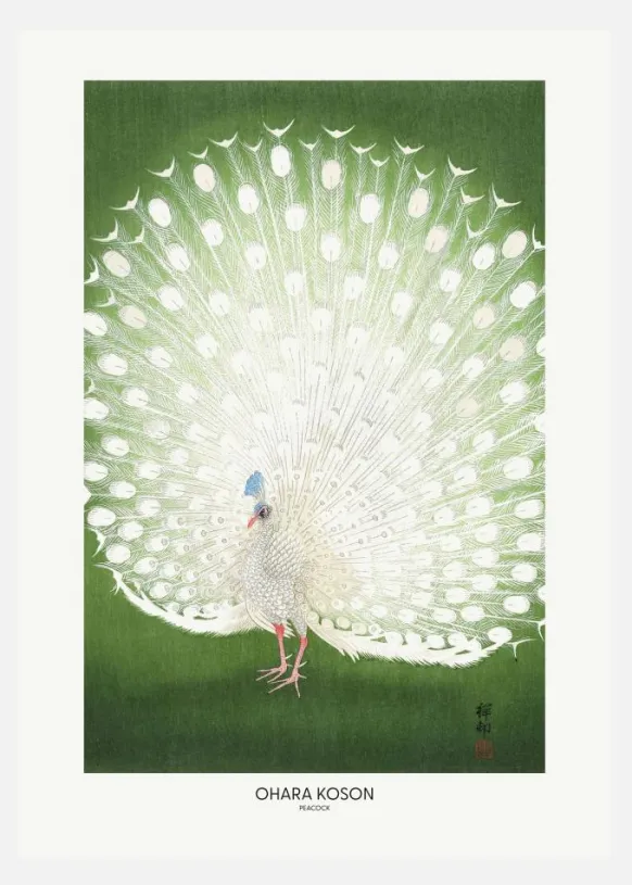 Peacock - Cropped Canvastavla (30x40 cm)