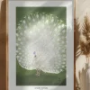 Peacock - Cropped Poster (21x29.7 cm (A4))