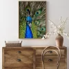 Peacock I Poster (21x29.7 cm (A4))