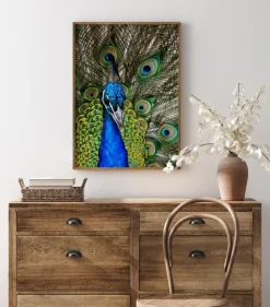 Peacock I Poster (21x29.7 cm (A4))