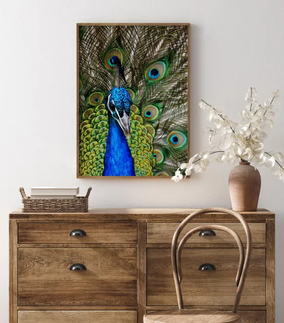 Peacock I Poster (21x29.7 cm (A4))