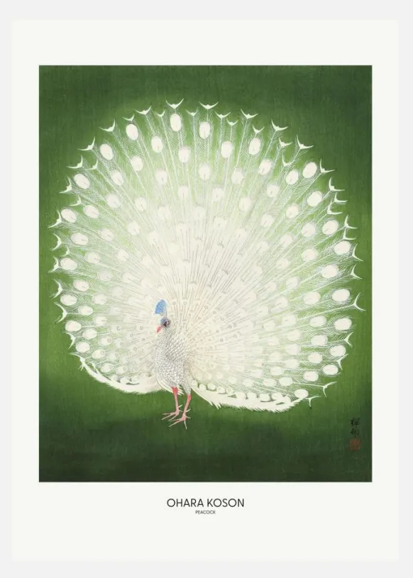 Peacock - Wide Canvastavla (30x40 cm)