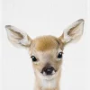 Peekaboo Baby Deer Canvastavla (30x40 cm)