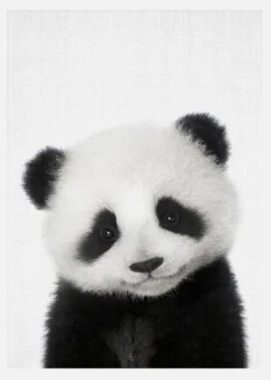 Peekaboo Baby Panda Canvastavla (30x40 cm)