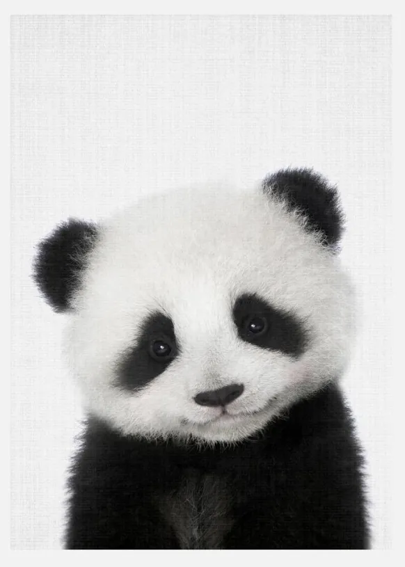 Peekaboo Baby Panda Canvastavla (30x40 cm)