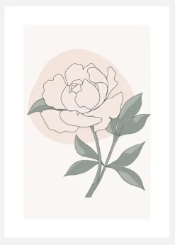 Peony Canvastavla (30x40 cm)