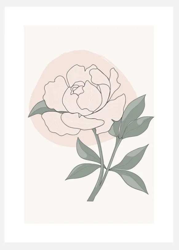 Peony Canvastavla (30x40 cm)