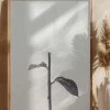 Peony 18 Poster (21x29.7 cm (A4))
