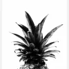 Pineapple B&w Canvastavla (30x40 cm)