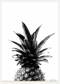 Pineapple B&w Canvastavla (30x40 cm)
