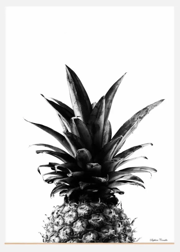 Pineapple B&w Canvastavla (30x40 cm)