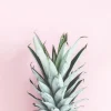 Pineapple Pink Poster (21x29.7 cm (A4))