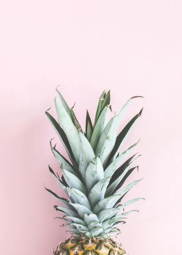 Pineapple Pink Poster (21x29.7 cm (A4))