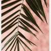 Pink Pastell Palm Canvastavla (30x40 cm)