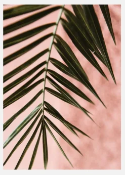 Pink Pastell Palm Canvastavla (30x40 cm)