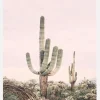 Pink Saguaro Canvastavla (30x40 cm)