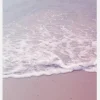 Pink Sand Canvastavla (30x40 cm)