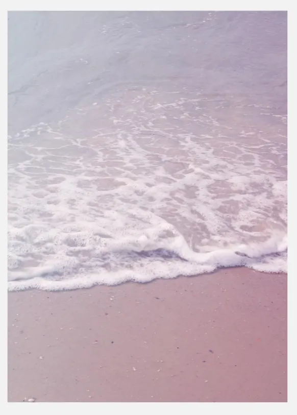 Pink Sand Canvastavla (30x40 cm)