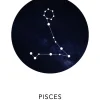 Pisces Poster (21x29.7 cm (A4))